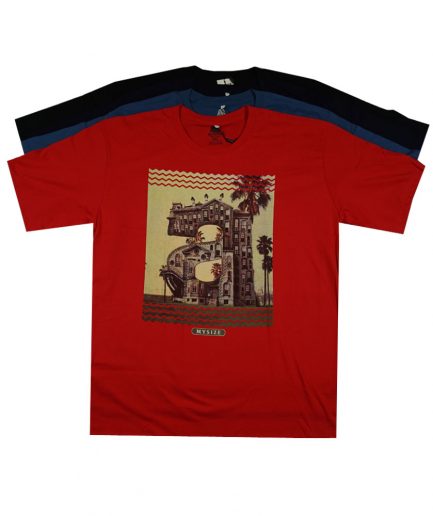 MYSIZE Graphic T-Shirt (CODE61137)